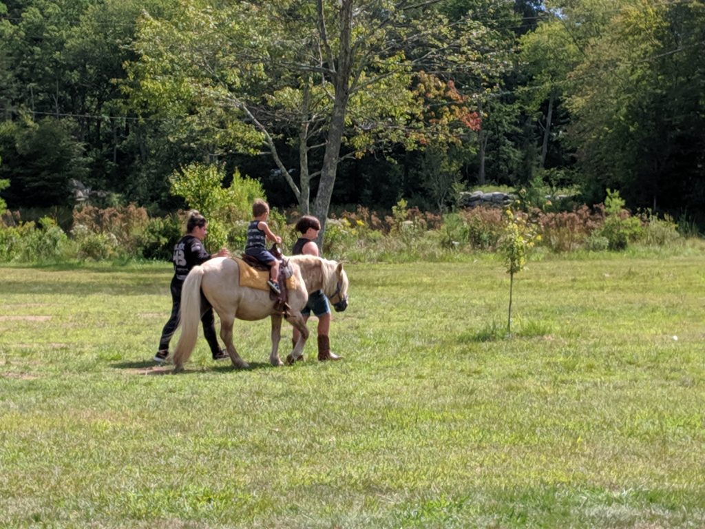 Pony Rides September 2 in safari field