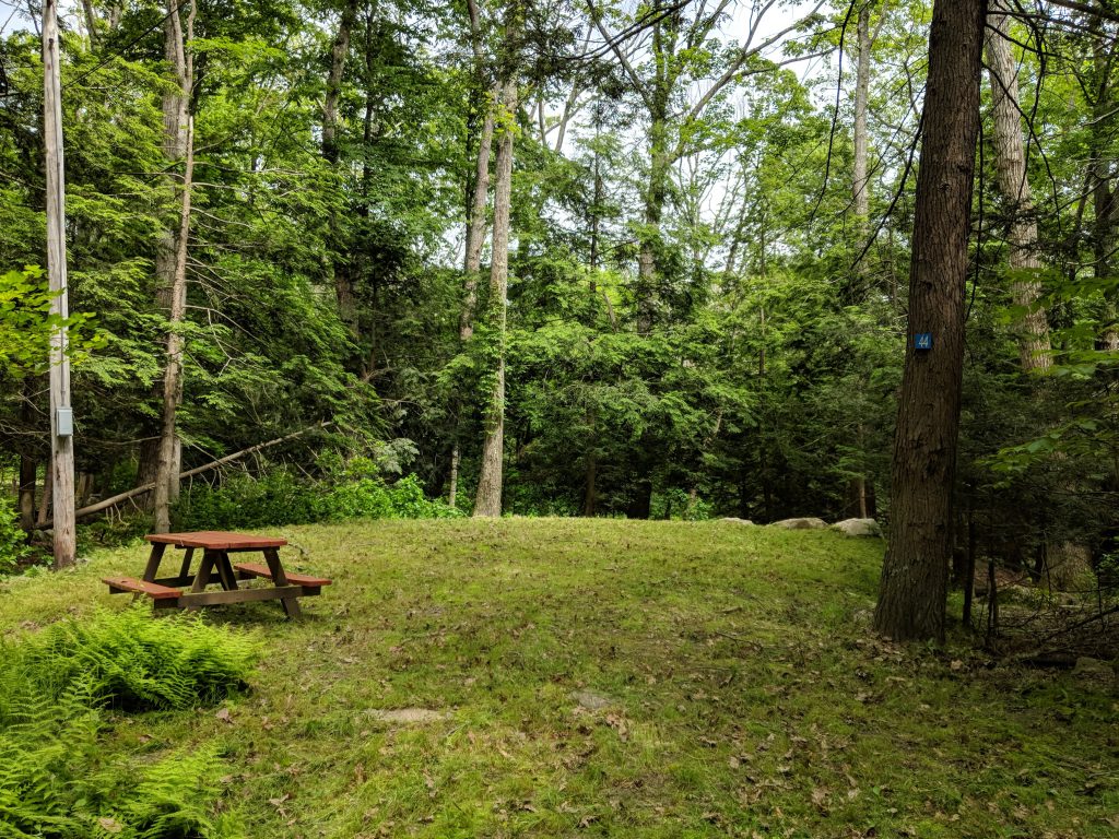 campsites in deep woods