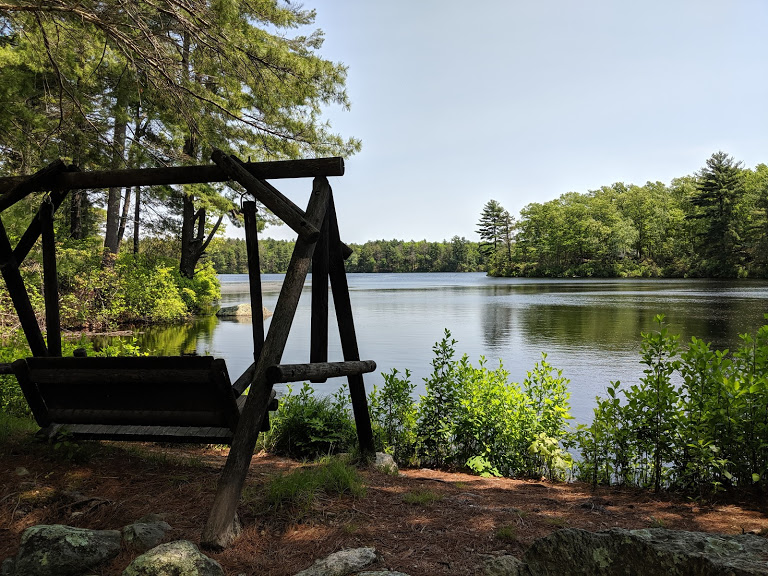 Wilber Pond swing