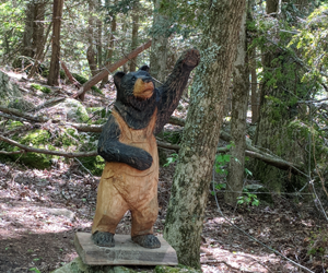 Camping Tips bear in the woods woodcarving