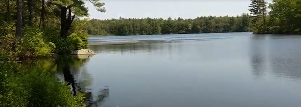 Wilber Pond view across the water