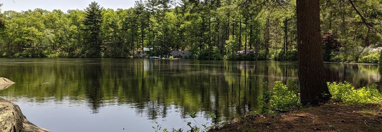 Wilber Pond secluded campsites