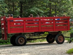 hay wagon rides around the campground
