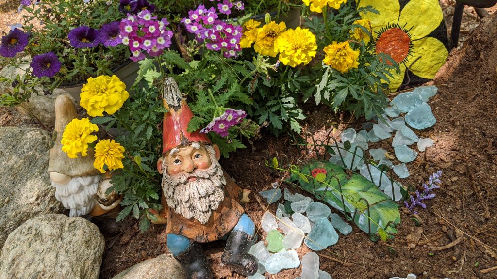 June Bathhouses Covid19 Update gnomes