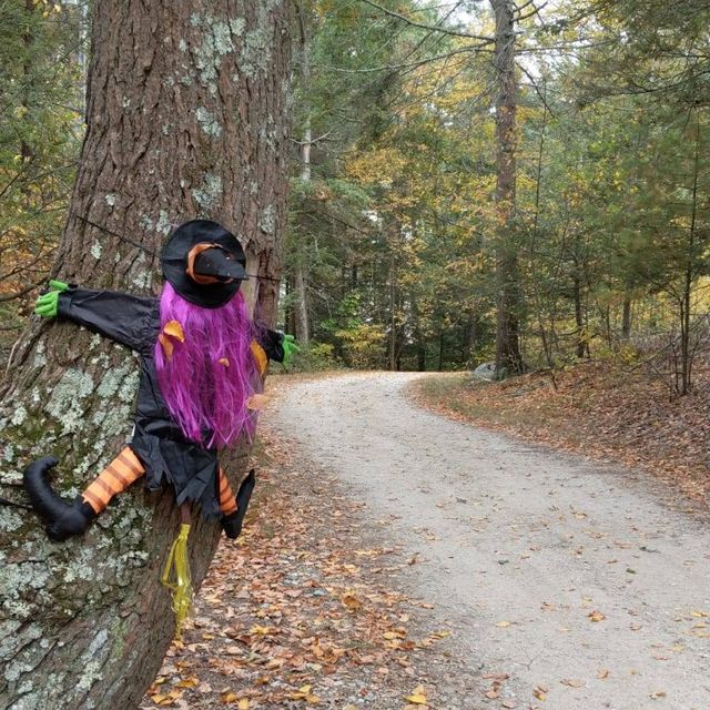 witch on broomstick hitting tree